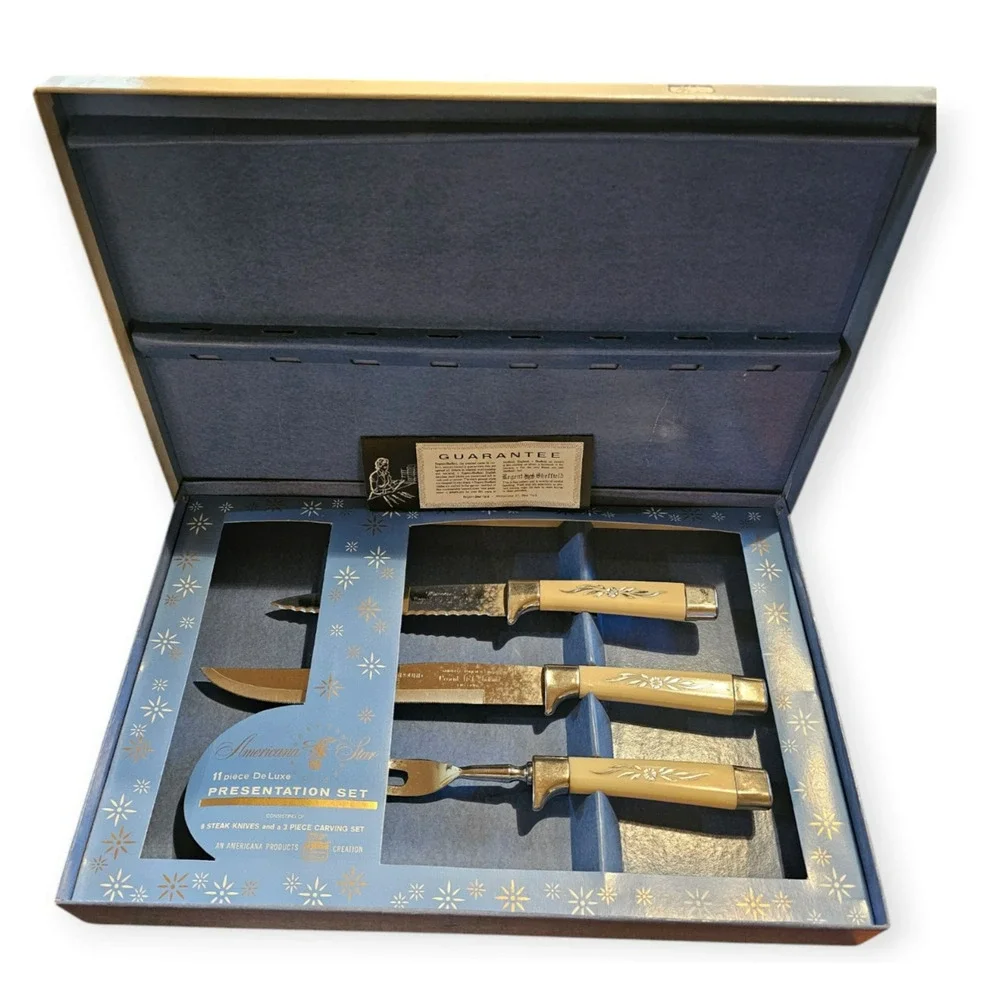 Vintage Americana Star Presentation Set Missing Steak Knives MCM Desert Flowers